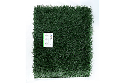 Grass for Rugby