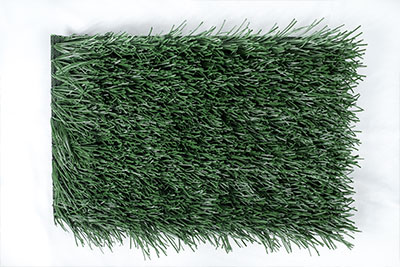 Grass for Rugbys