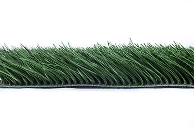 Grass for Rugbys