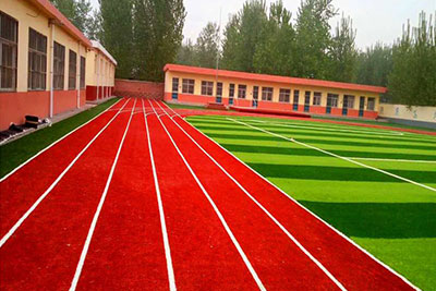 Track Grass