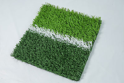Multi-sports Grass
