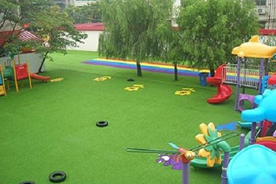 Grass for Kids